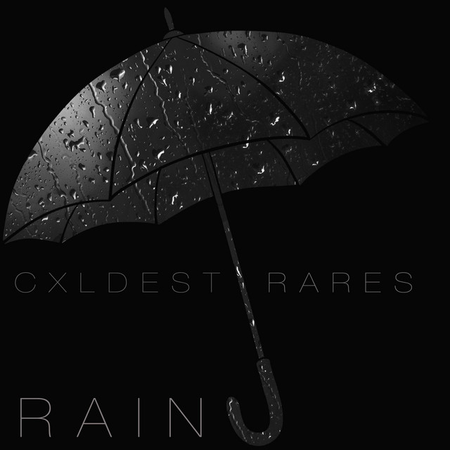 Rain cover art