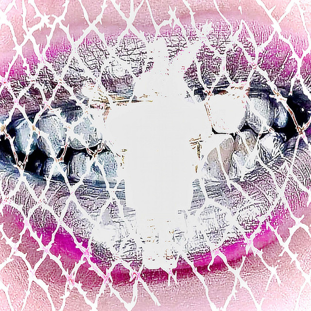 teeth cover art
