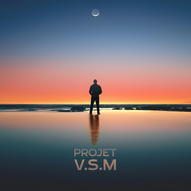 PROJET V.S.M cover art