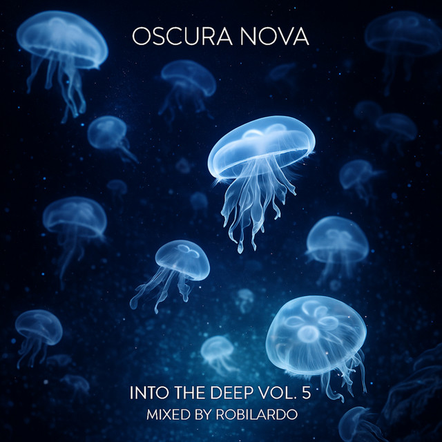 Into The Deep Vol. 5 (Mixed by Robilardo) cover art