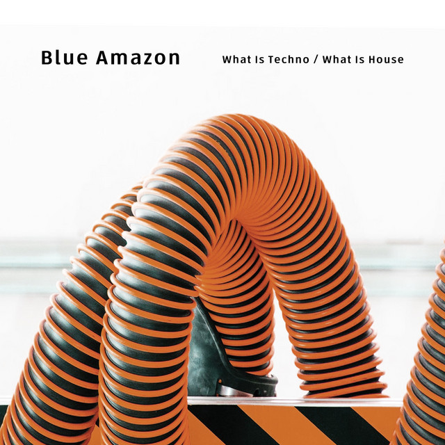 What is Techno / What is House cover art