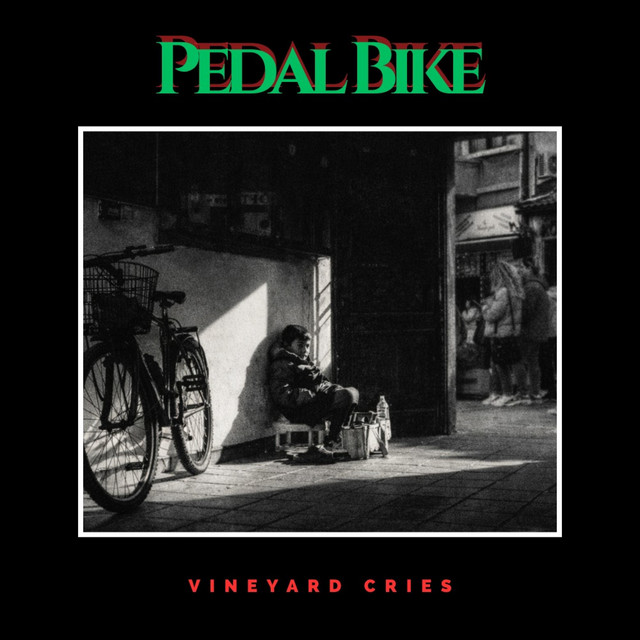 Pedal Bike cover