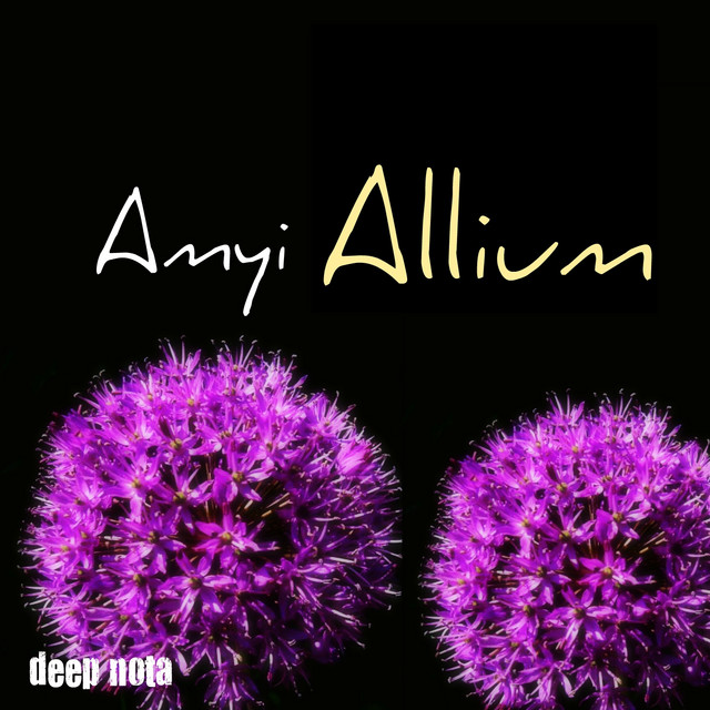 Amyi