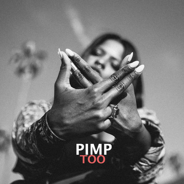 Pimp Too cover