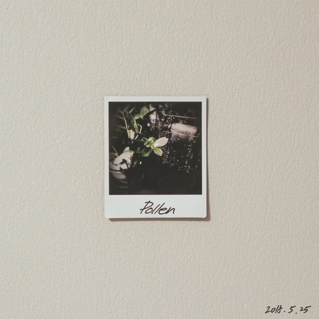 Pollen cover art