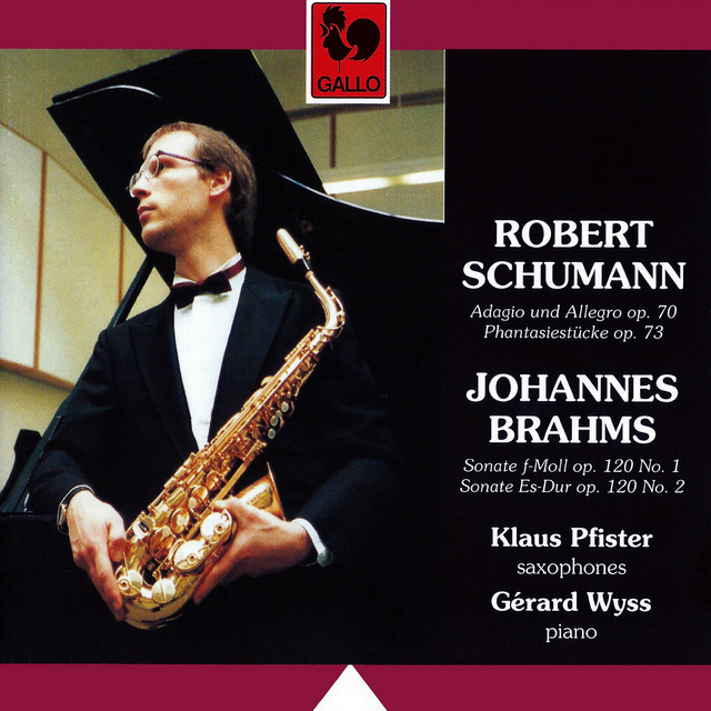 Clarinet Sonata No. 1 in F Minor, Op. 120: I. Allegro appassionato