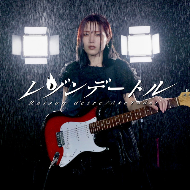 レゾンデートル cover