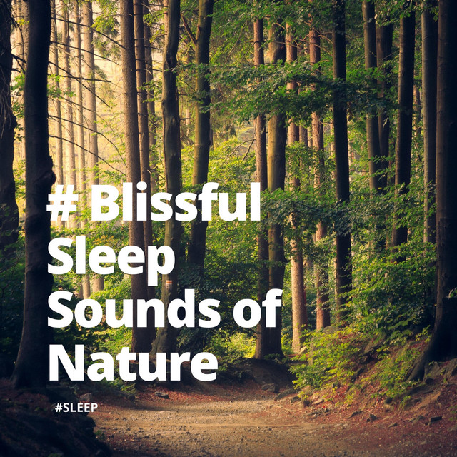 # Blissful Sleep Sounds of Nature cover art