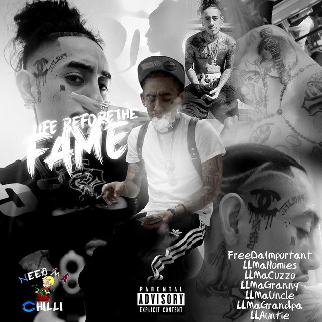 Life Before The Fame cover art