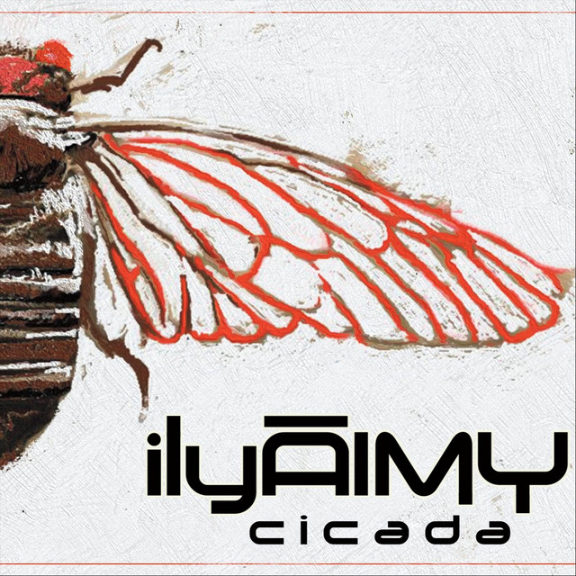 Cicada cover