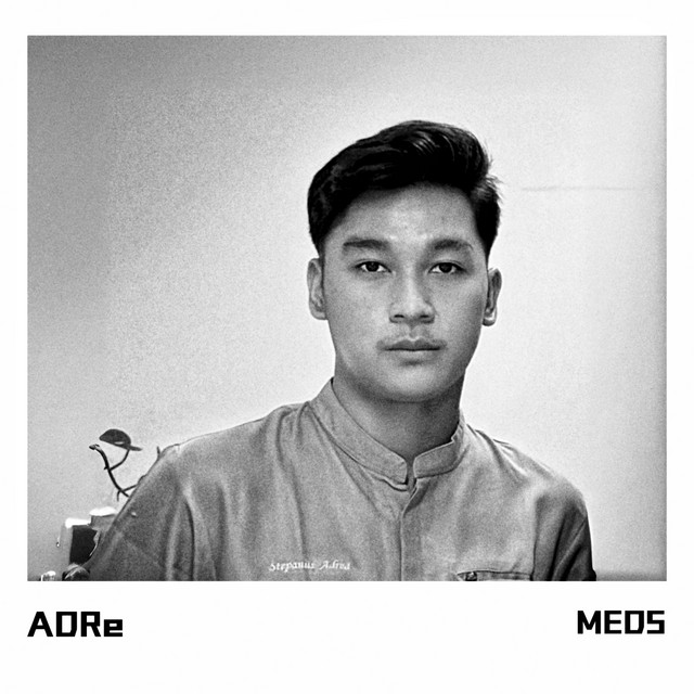 MEDS cover art