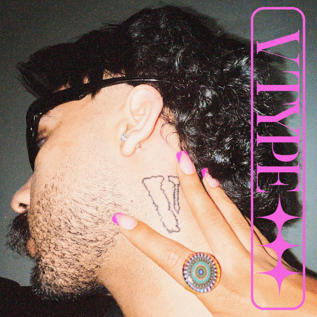 VTYPE cover art