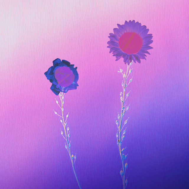 Vector Flowers by Widen Island, MYR