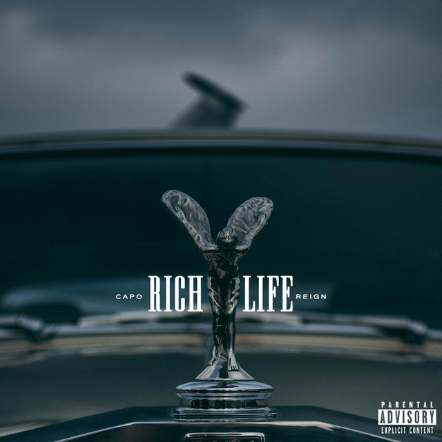 Rich Life cover art