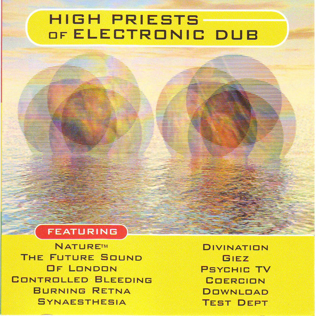 High Priests Of Electronic Dub cover