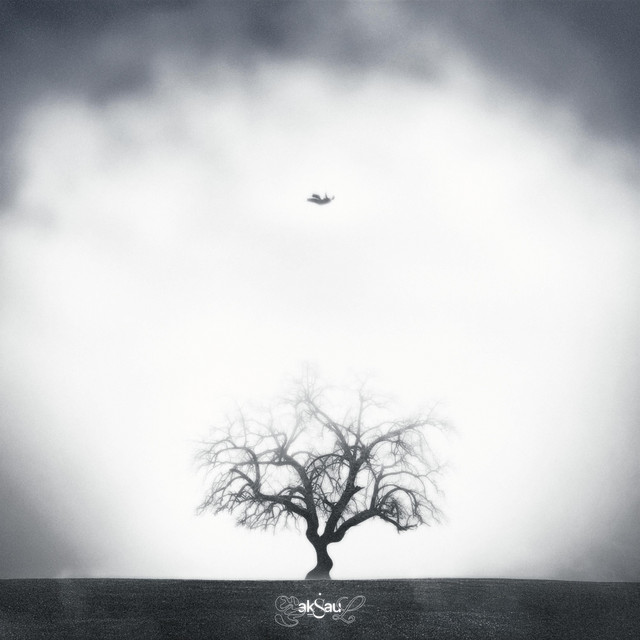 SAKSAUL cover art