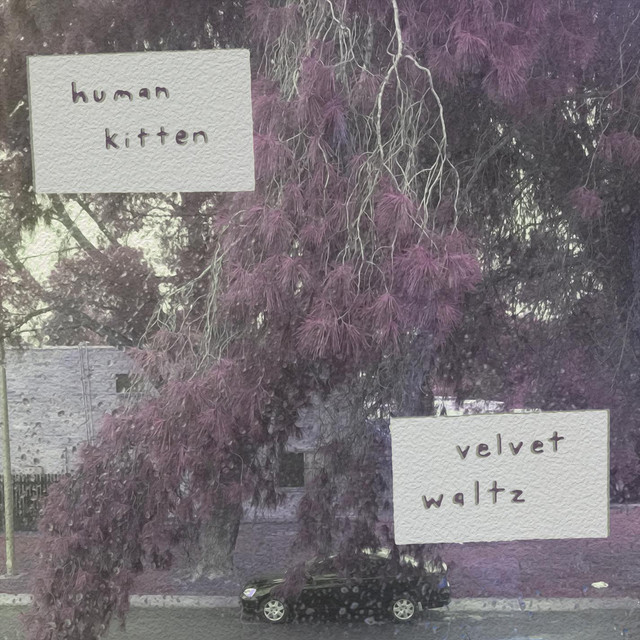 Velvet Waltz cover art