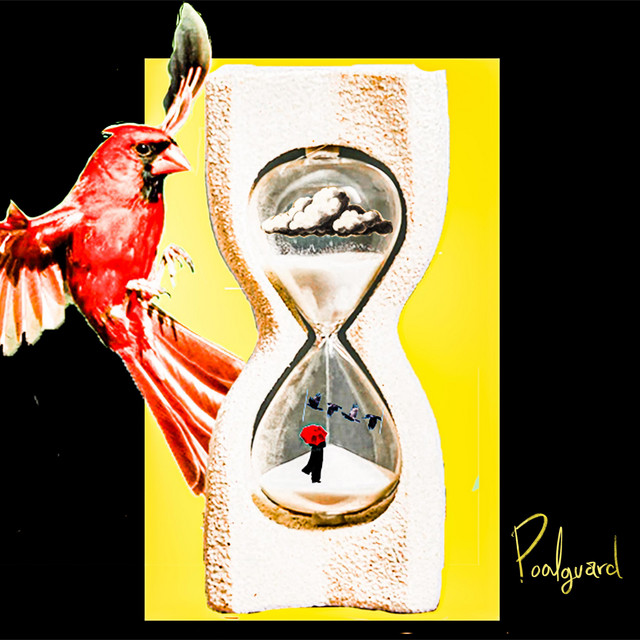 Cardinal cover art