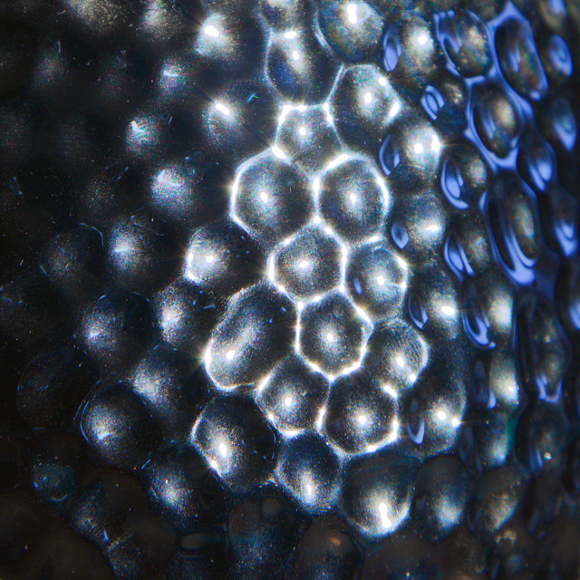 Slip cover art