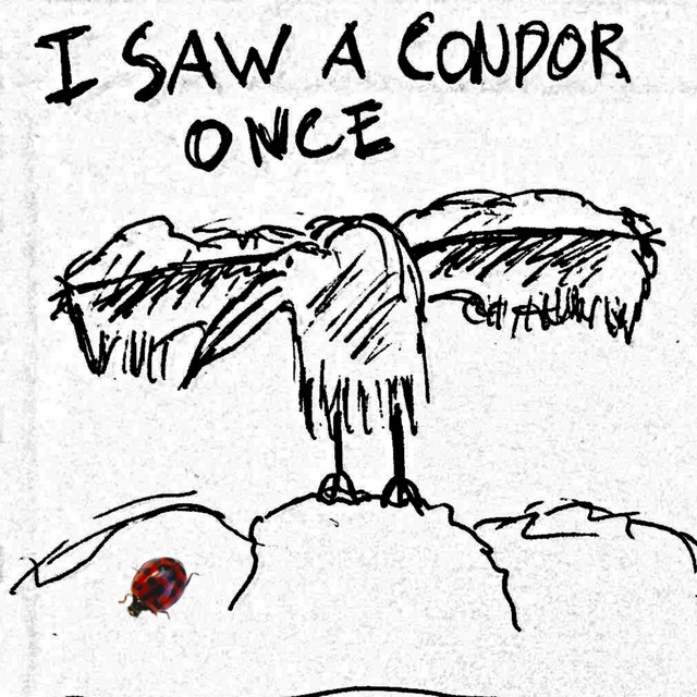 I Saw a Condor Once cover art