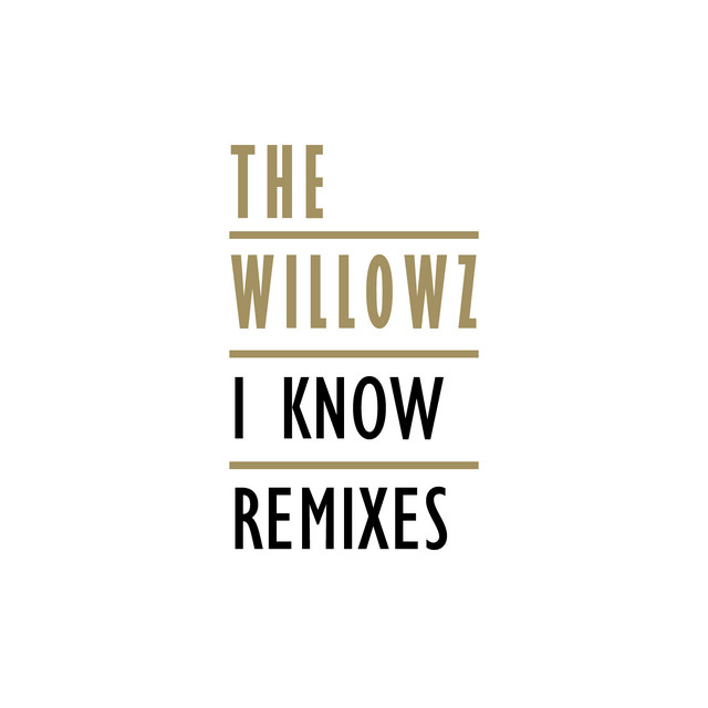 I Know (Remixes) cover