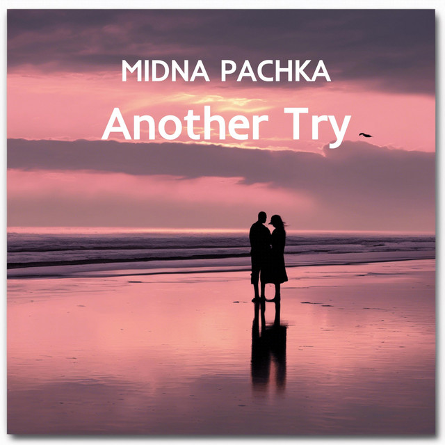 Cover art: Another Try — Midna Pachka