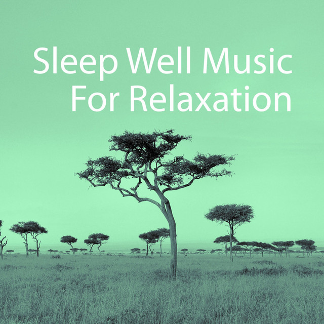 Sleep Well Music For Relaxation cover art