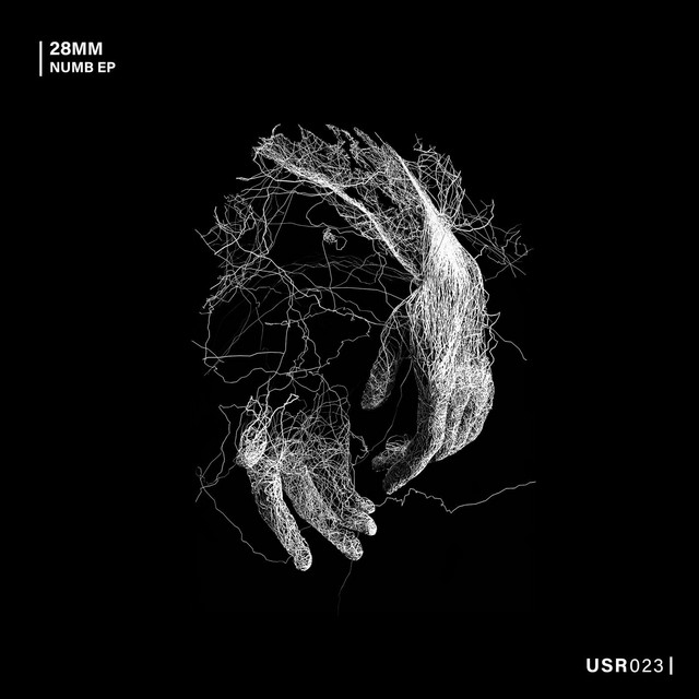 Numb cover art