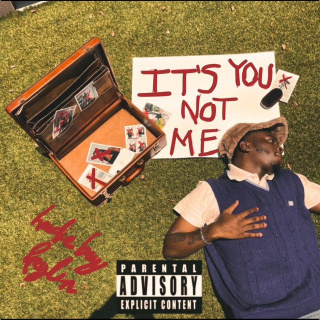 It's You Not Me cover art
