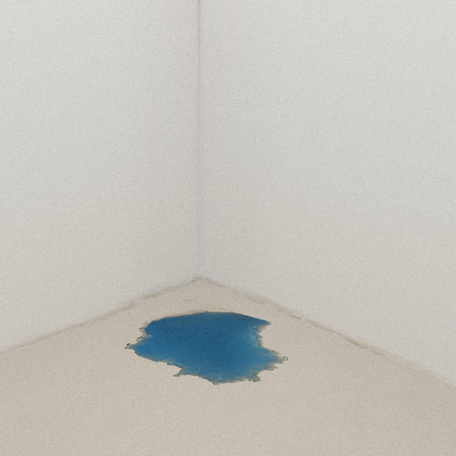 Dull cover art