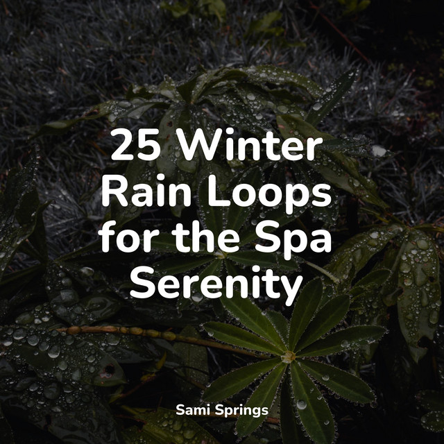 25 Winter Rain Loops for the Spa Serenity - Album by Rain Shower Spa ...