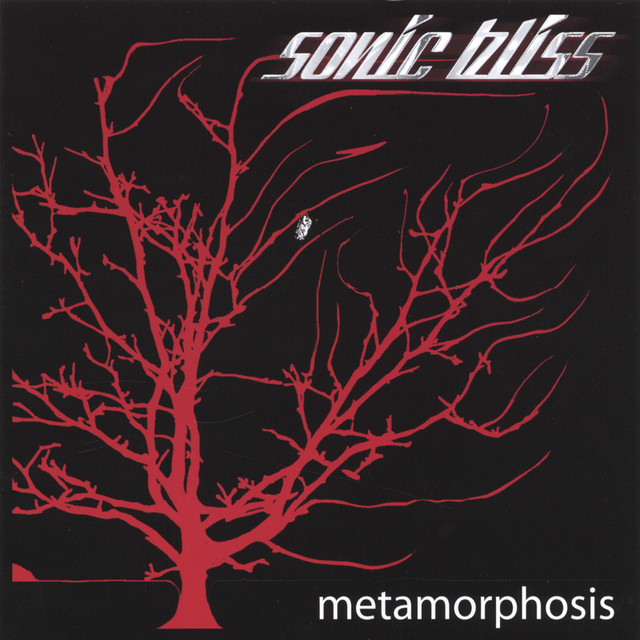 The Used Jet Electric Bg 6 A Second Chance At Sonic Bliss
