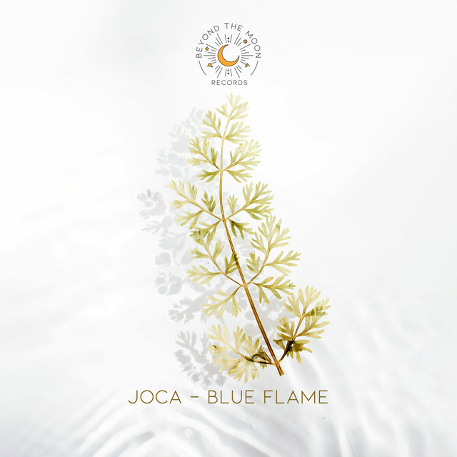 Fern Forest album art