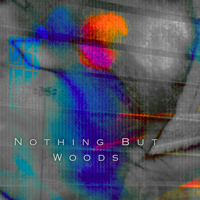 Nothing But Woods cover art
