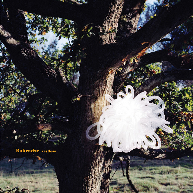Restless cover art