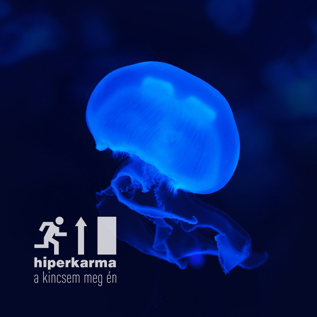 A kincsem meg én cover art
