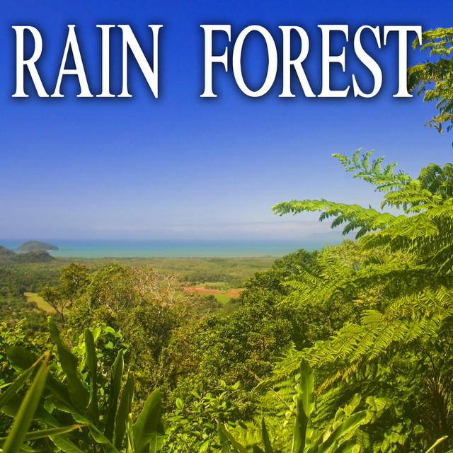 Rain Forest cover art