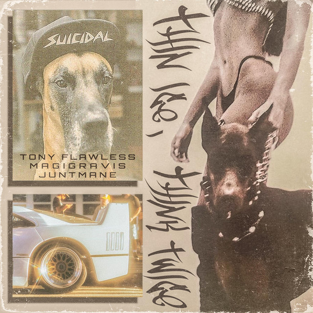 Cover art: Thin Ice, Think Twice — Tony Flawless