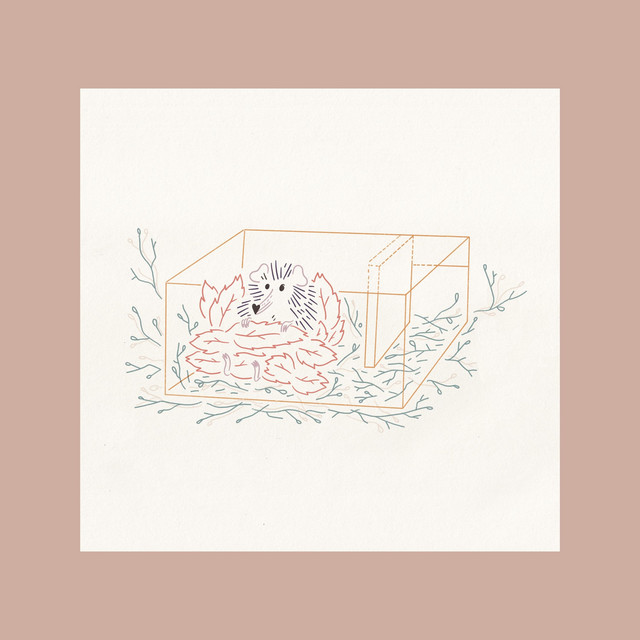 Swimming Through Time