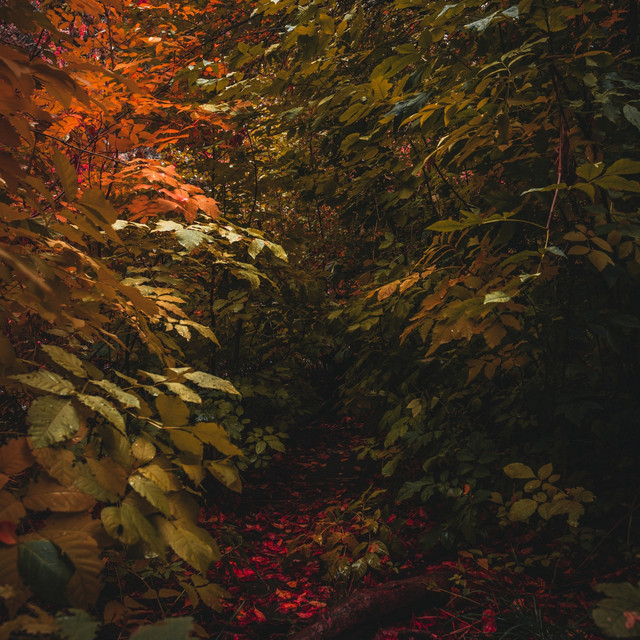Fantasy Town Ambience cover art