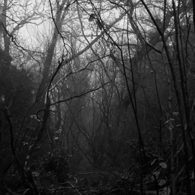 the dread inside of the fog cover art