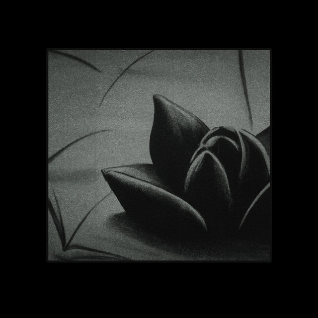 BLACK LOTUS cover art