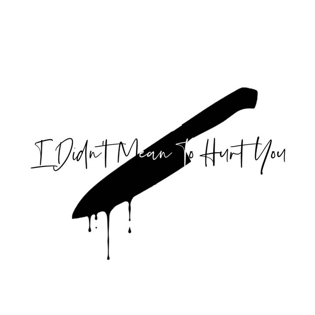 I Didn't Mean To Hurt You