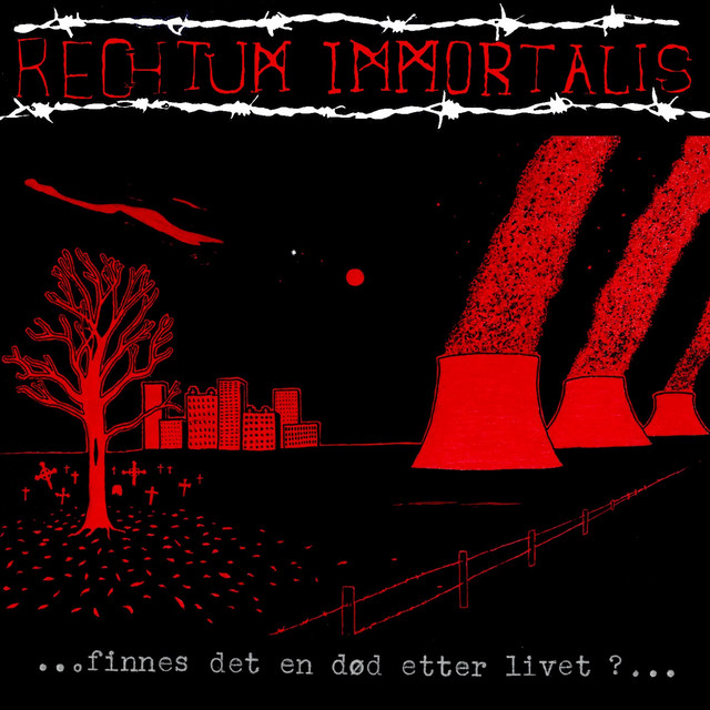 ...finnes det en død etter livet ?... cover art