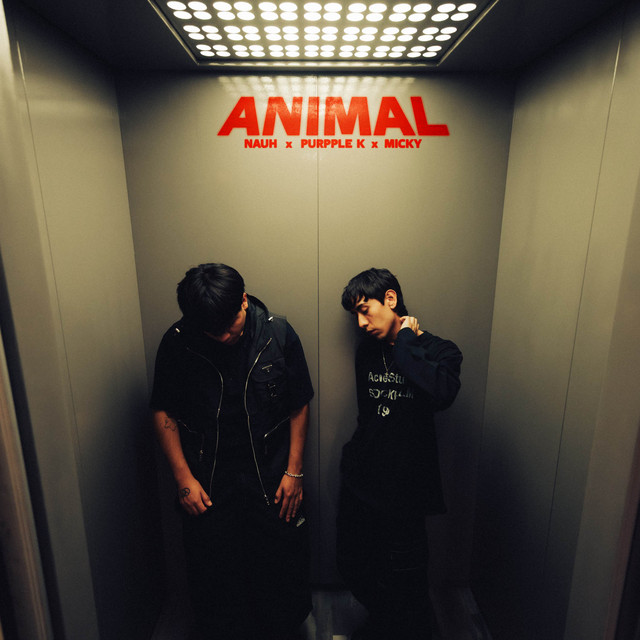 ANIMAL