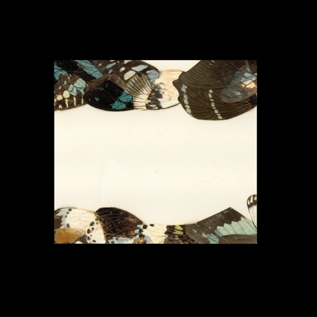 Butterfly Girl - Sten Version cover art