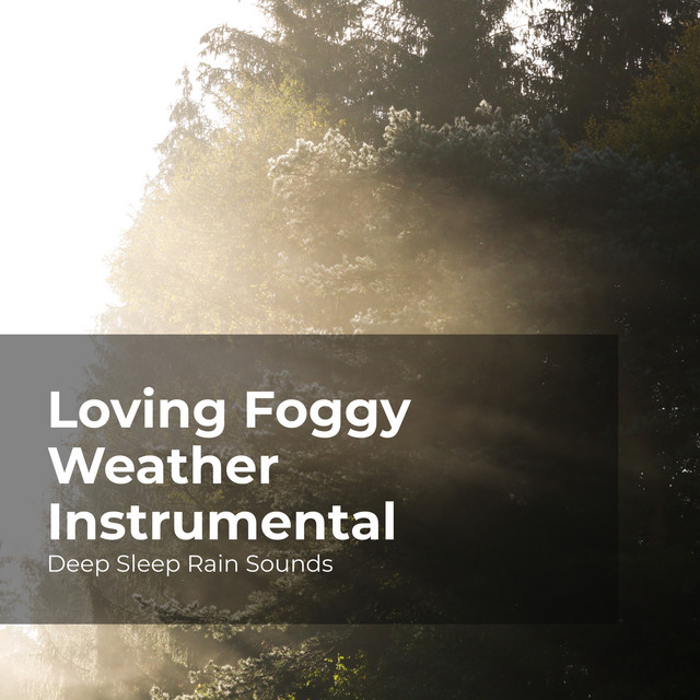 Loving Foggy Weather Instrumental - Album by Deep Sleep Rain Sounds ...