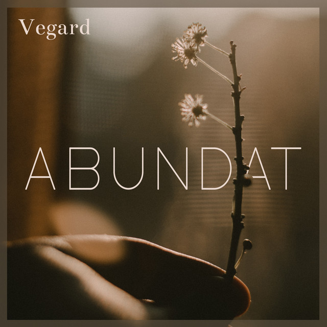 Abundat cover