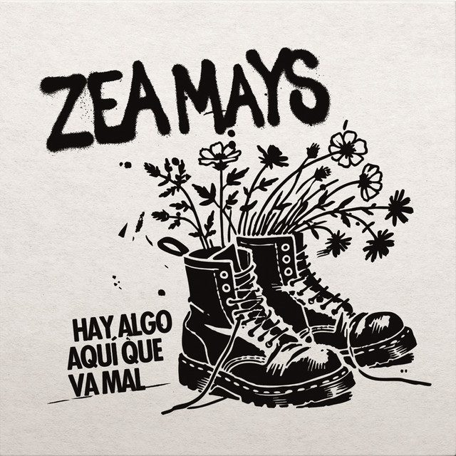 HAY ALGO AQUI QUE VA MAL