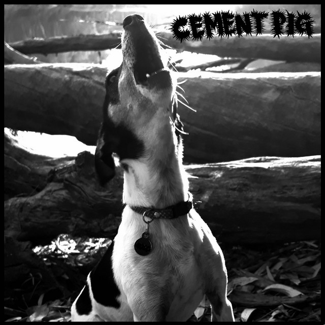 Cement Pig Photo